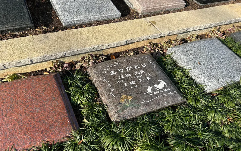 お墓・樹木葬のご相談
